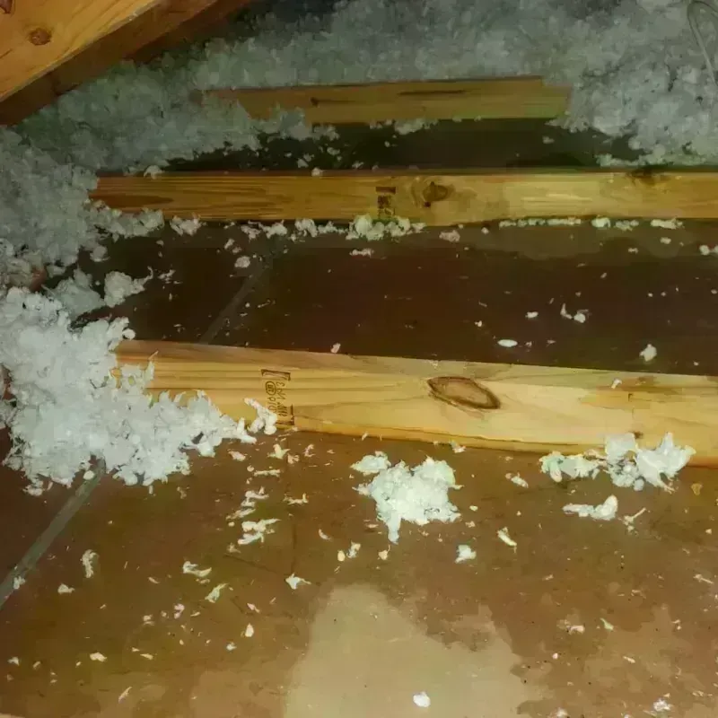 Attic Water Damage in Garza County, TX